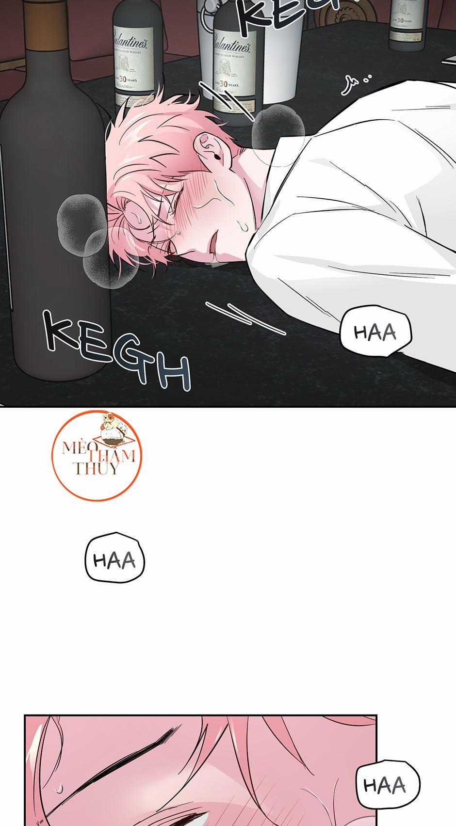 Cặp Đôi Điên Rồ 32 trang 17