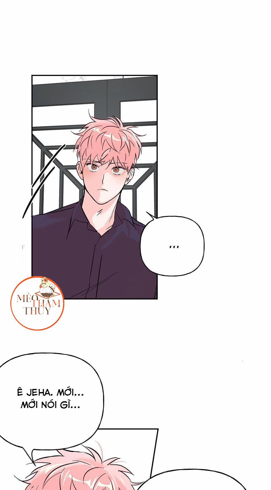 Cặp Đôi Điên Rồ 33 trang 17