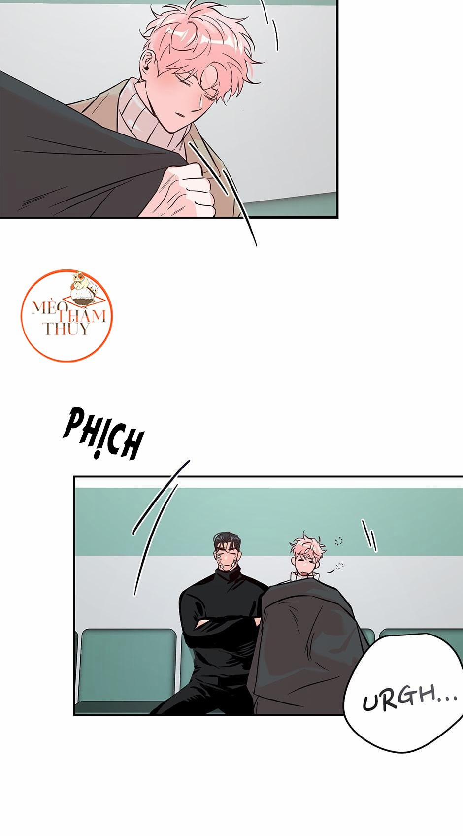 Cặp Đôi Điên Rồ 33 trang 43