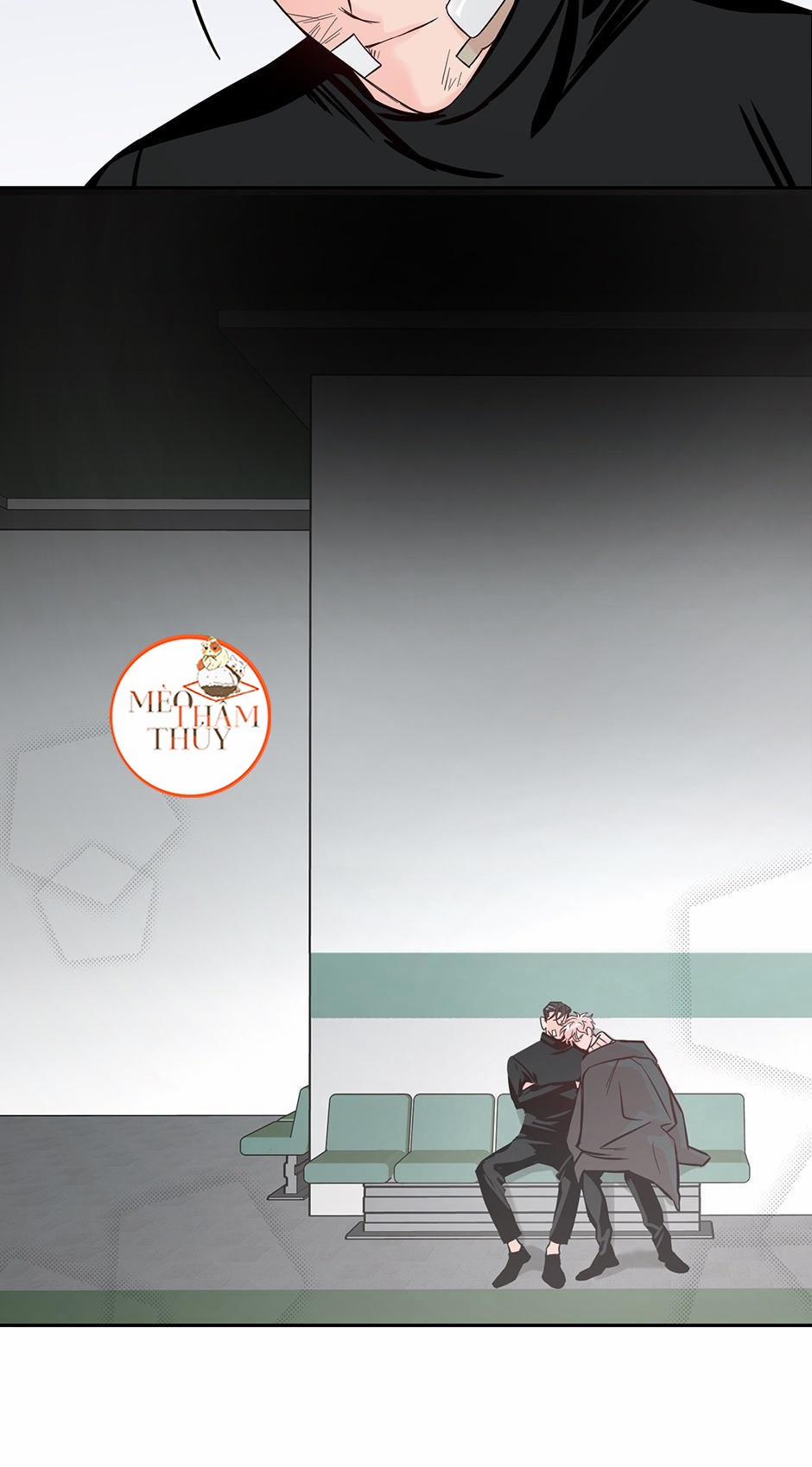 Cặp Đôi Điên Rồ 33 trang 46