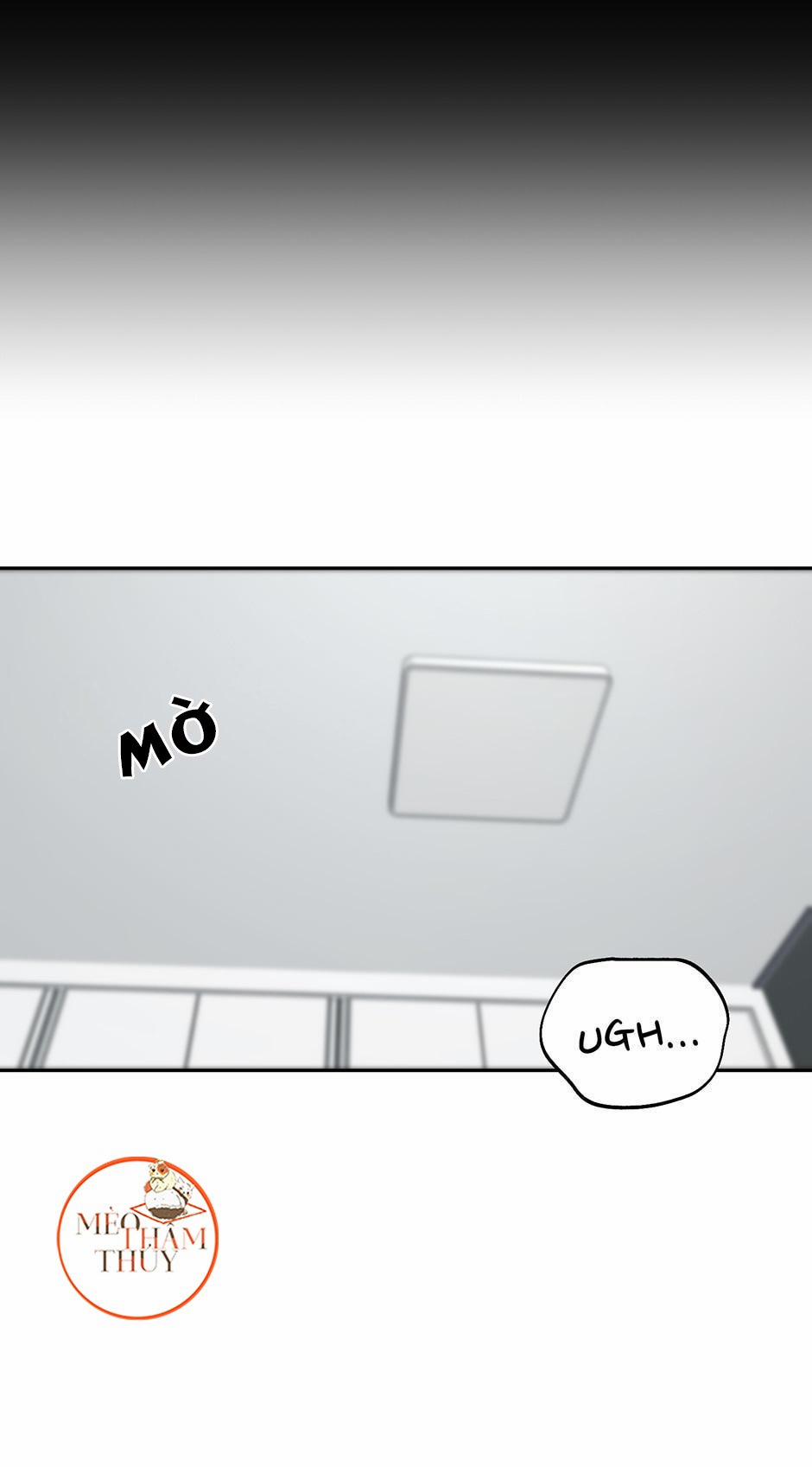 Cặp Đôi Điên Rồ 33 trang 7