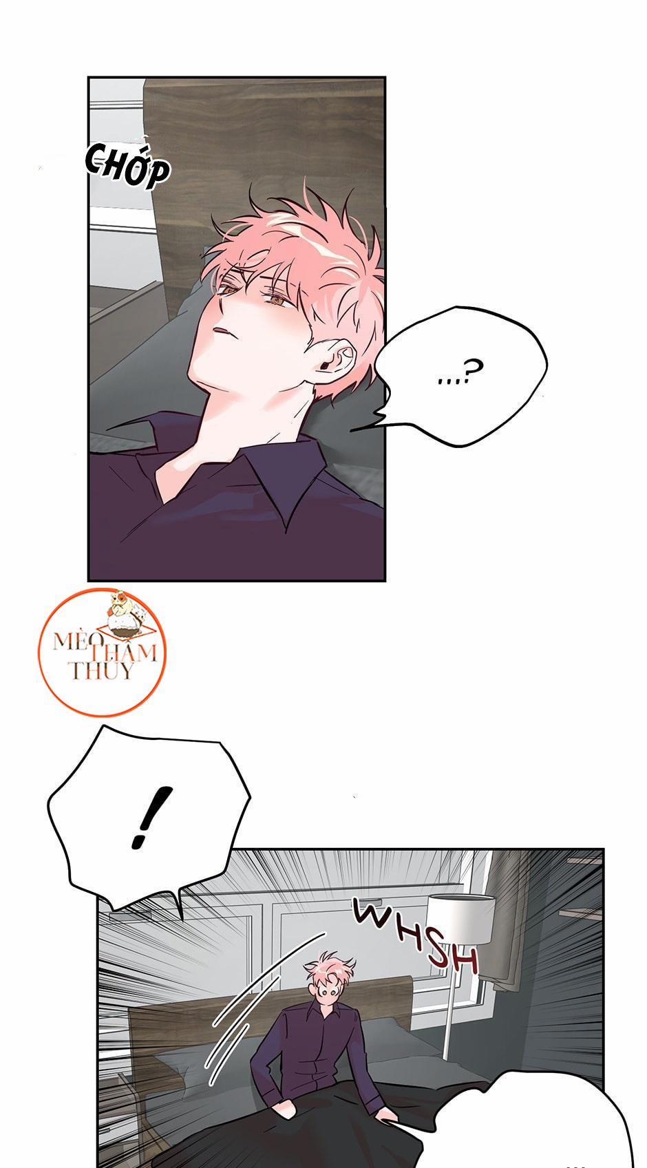 Cặp Đôi Điên Rồ 33 trang 8