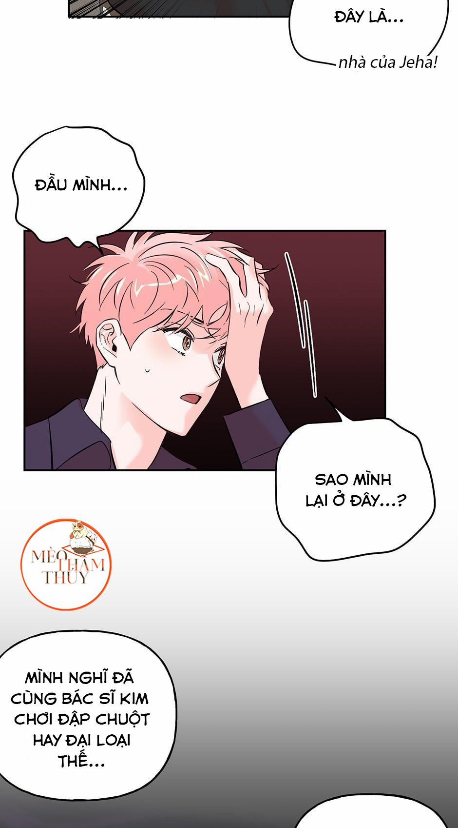 Cặp Đôi Điên Rồ 33 trang 9