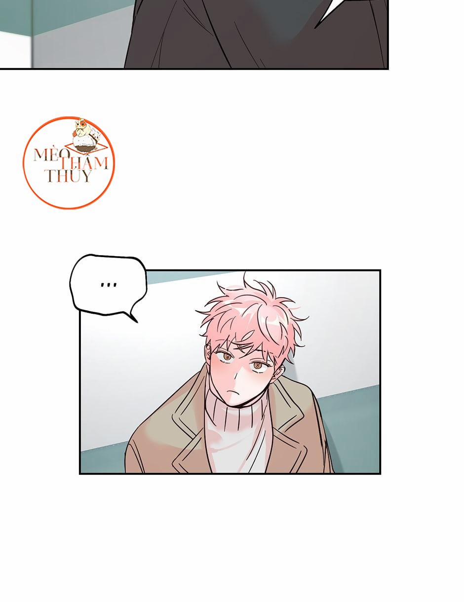 Cặp Đôi Điên Rồ 34 trang 11