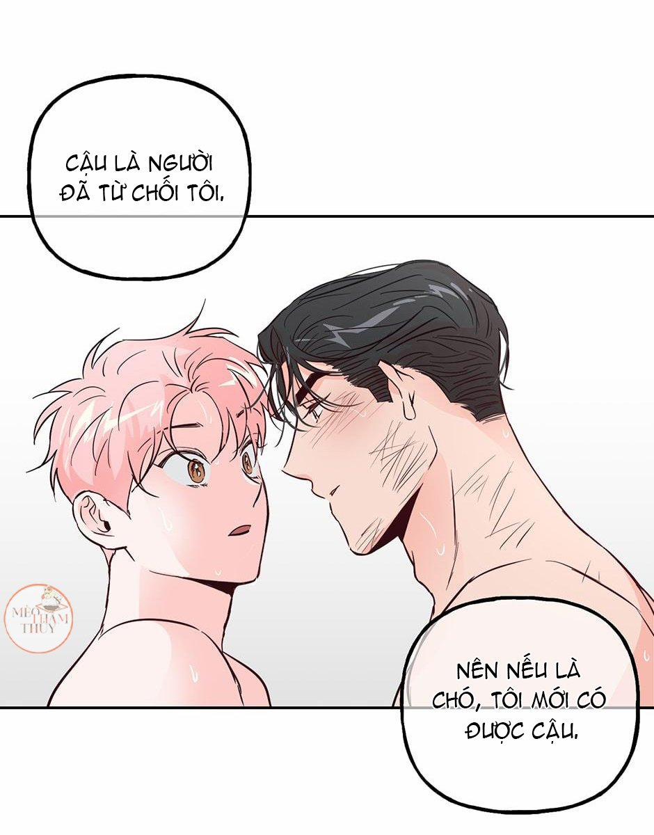 Cặp Đôi Điên Rồ 35 trang 28