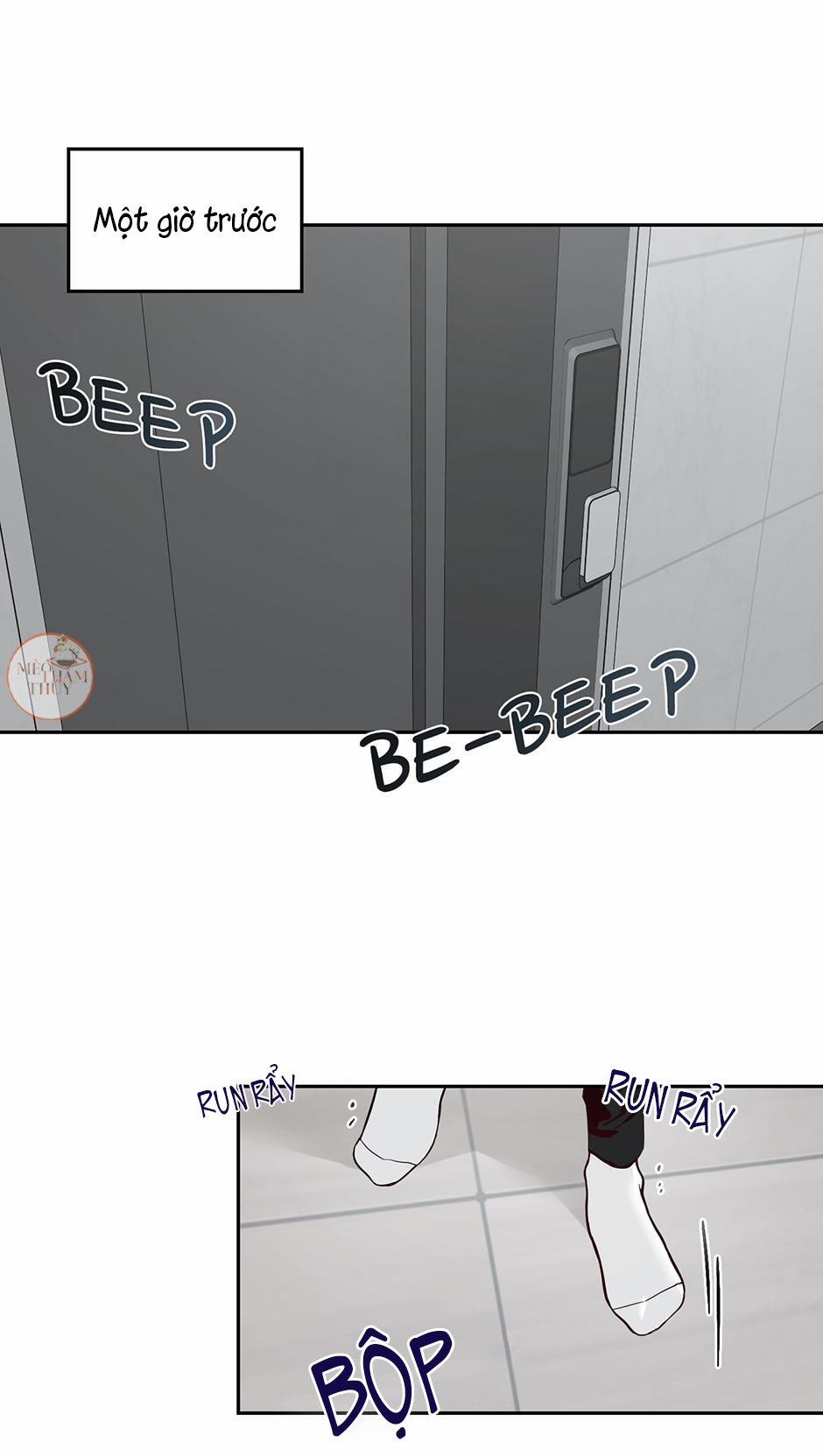 Cặp Đôi Điên Rồ 35 trang 5