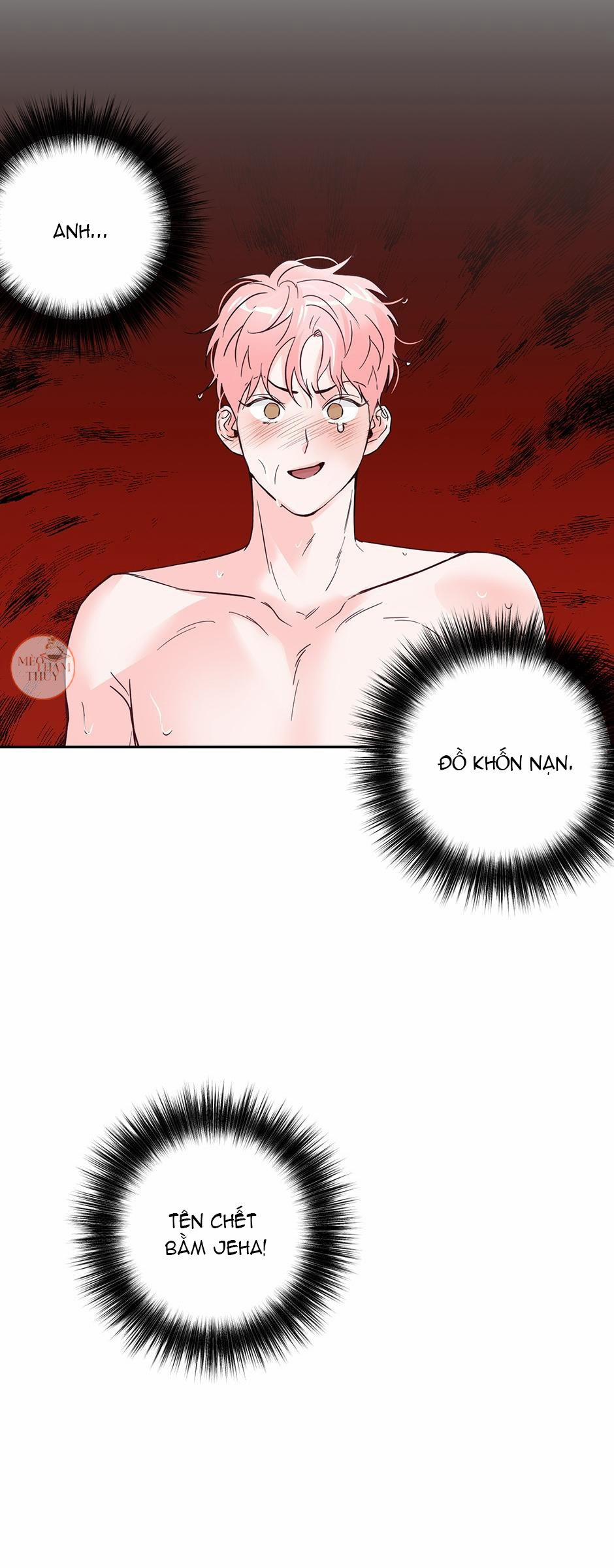 Cặp Đôi Điên Rồ 35 trang 51