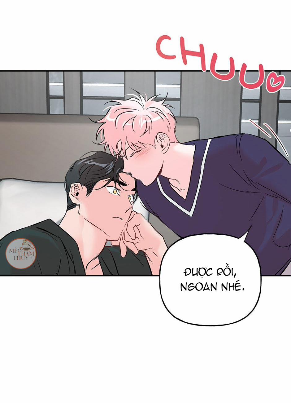 Cặp Đôi Điên Rồ 36 trang 11