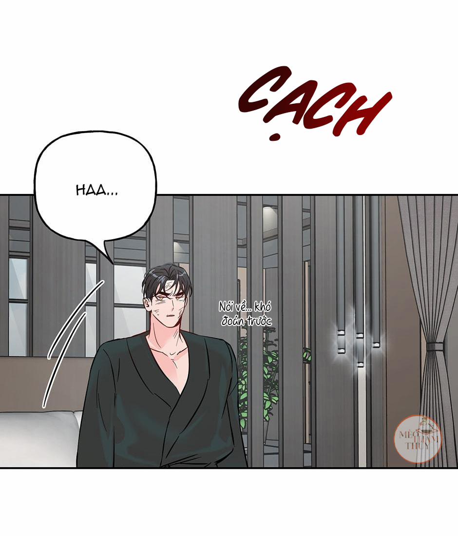 Cặp Đôi Điên Rồ 36 trang 13
