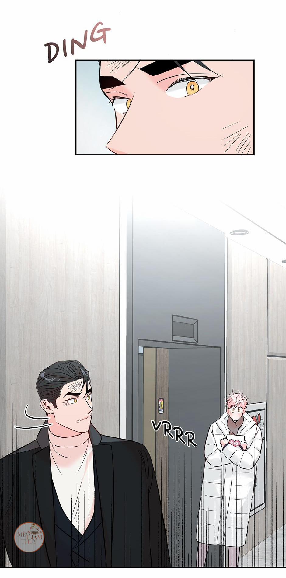 Cặp Đôi Điên Rồ 36 trang 42