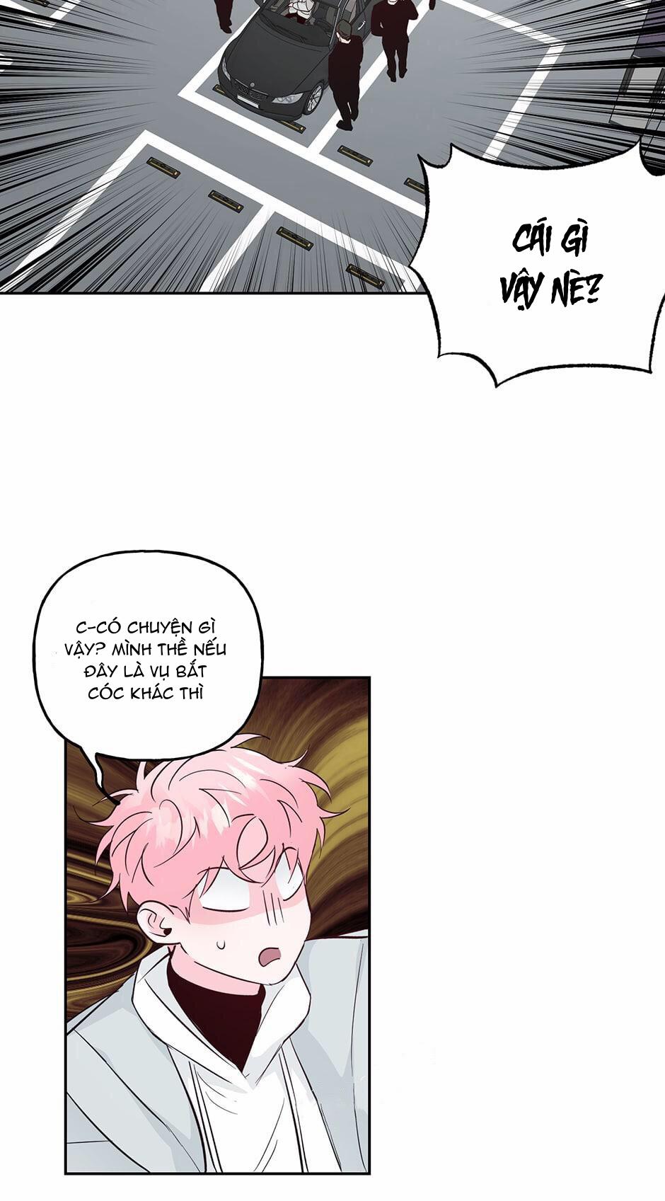 Cặp Đôi Điên Rồ 43 trang 9