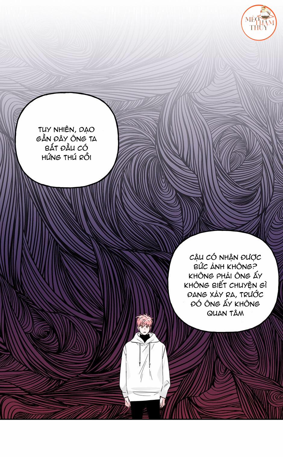 Cặp Đôi Điên Rồ 46 trang 10