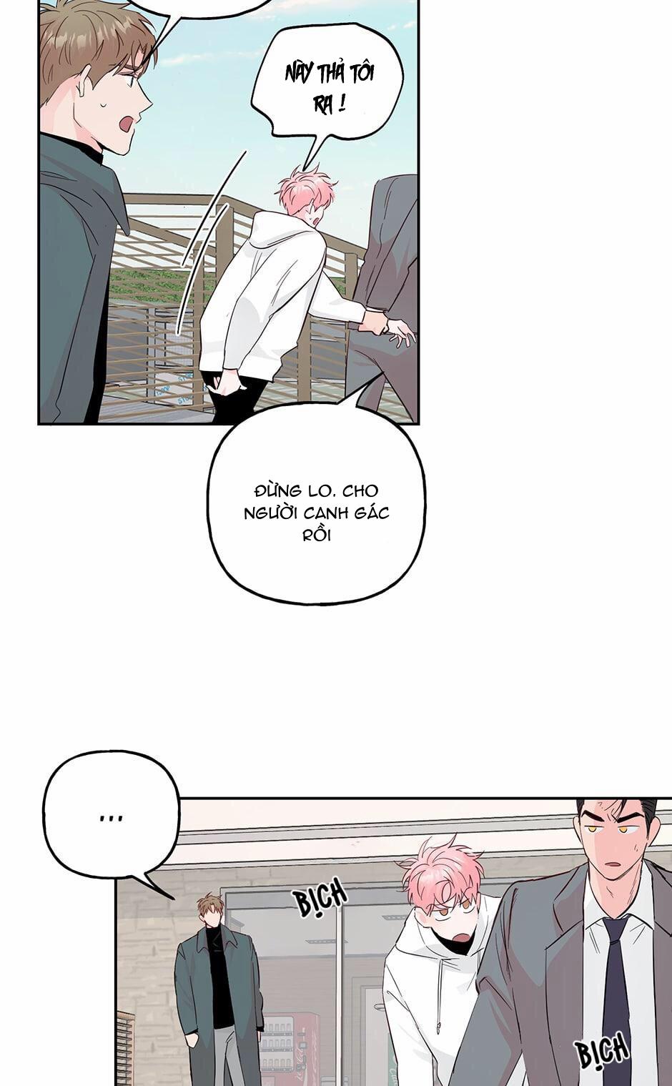 Cặp Đôi Điên Rồ 46 trang 12