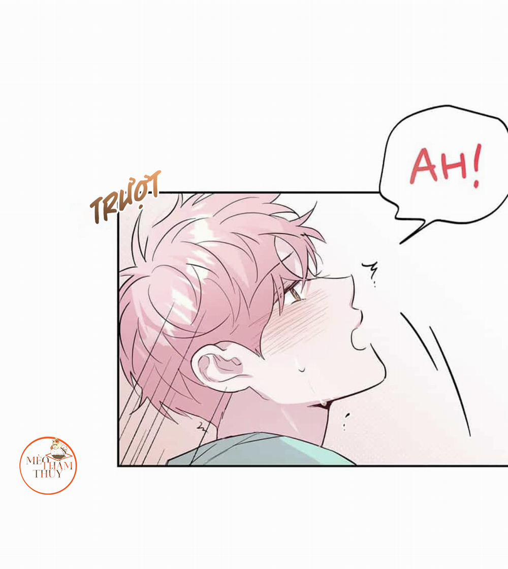 Cặp Đôi Điên Rồ 47 trang 12