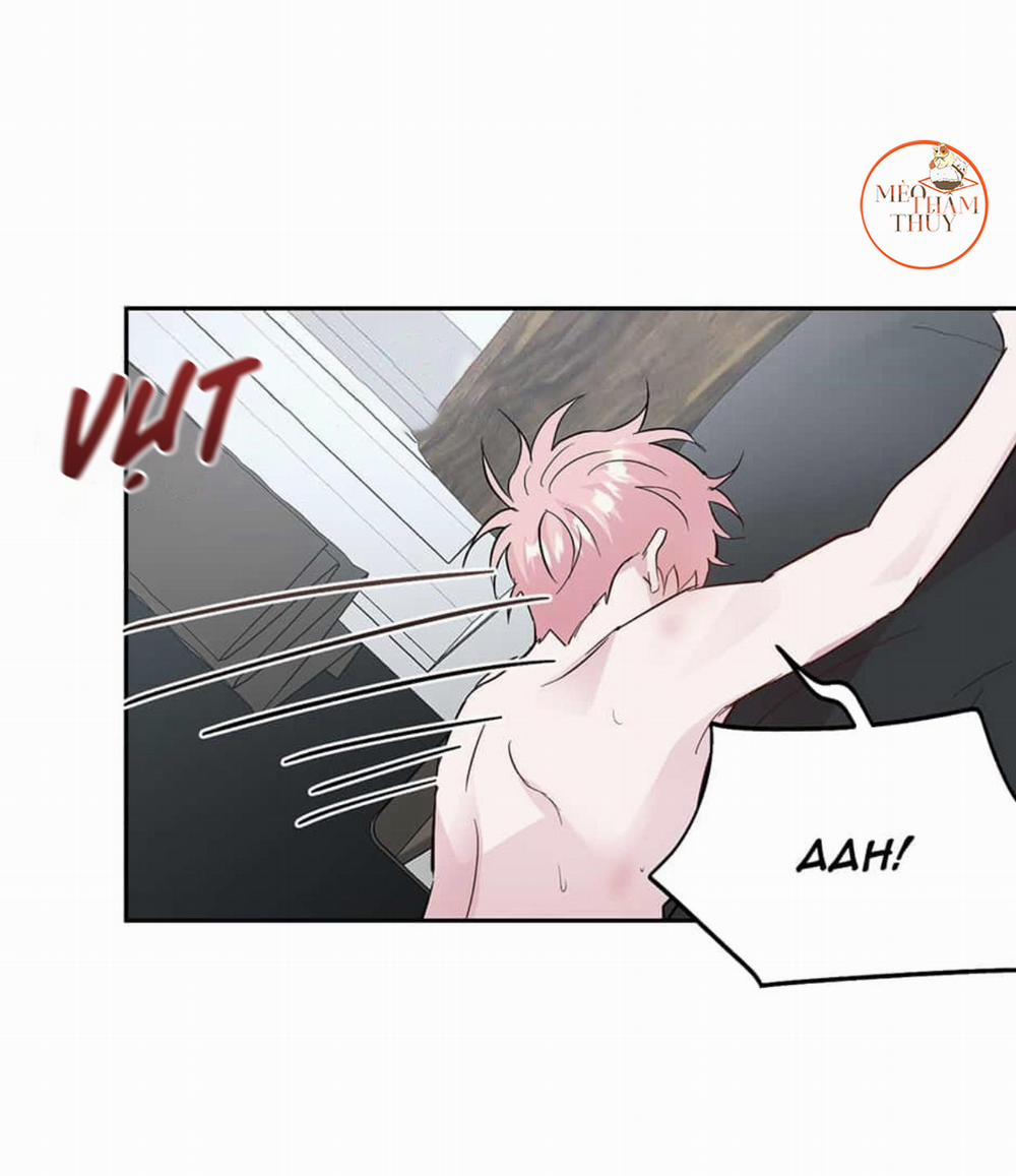 Cặp Đôi Điên Rồ 48 trang 8