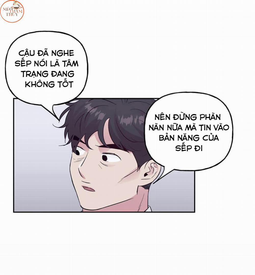 Cặp Đôi Điên Rồ 49 trang 2