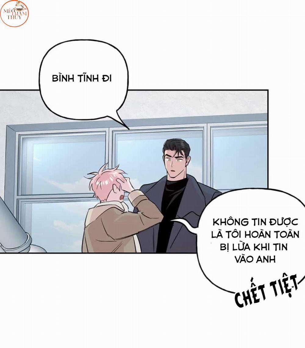 Cặp Đôi Điên Rồ 49 trang 20