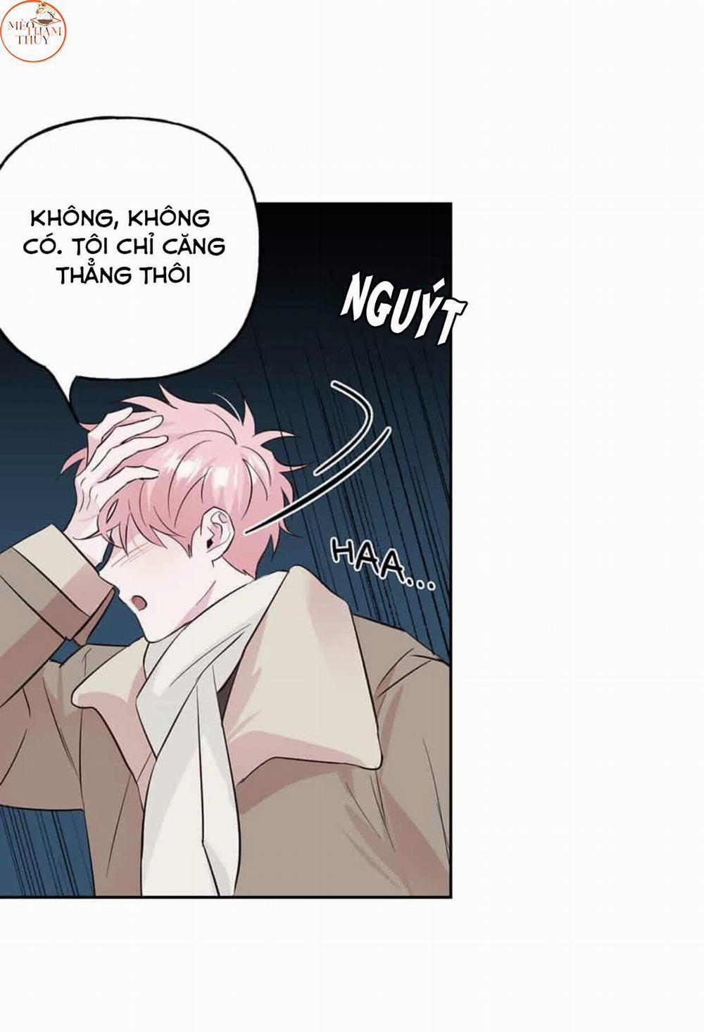 Cặp Đôi Điên Rồ 49 trang 22