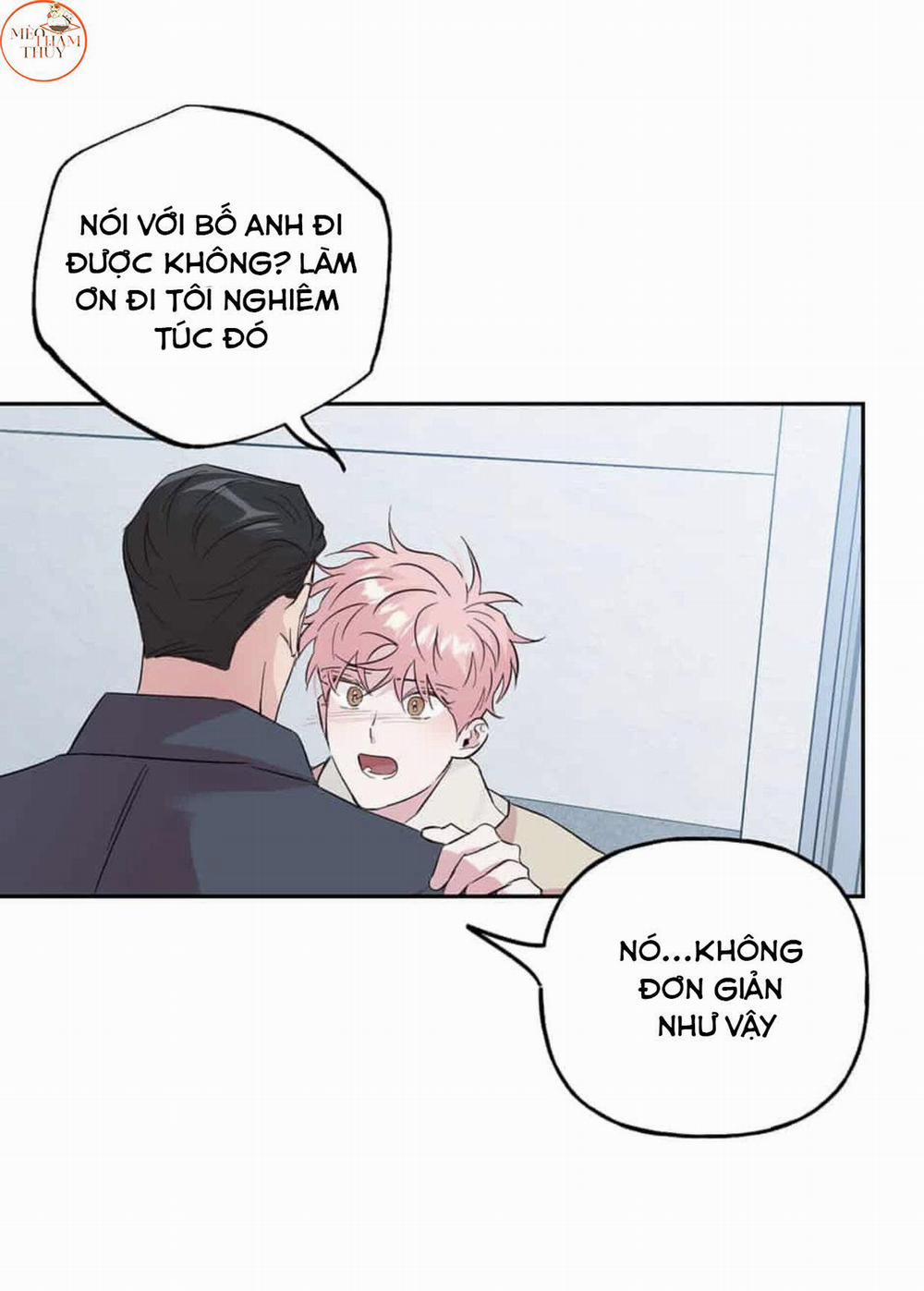 Cặp Đôi Điên Rồ 49 trang 31