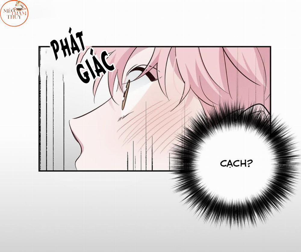 Cặp Đôi Điên Rồ 49 trang 39