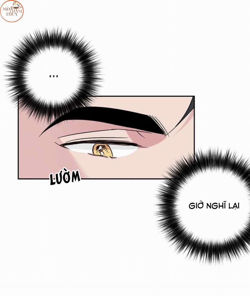 Cặp Đôi Điên Rồ 49 trang 53