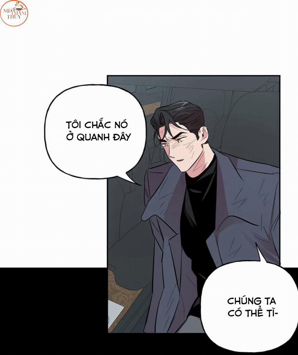 Cặp Đôi Điên Rồ 50 trang 10