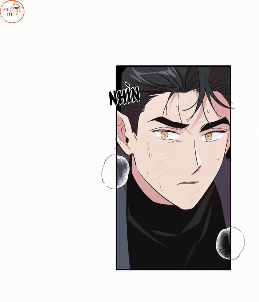 Cặp Đôi Điên Rồ 50 trang 25