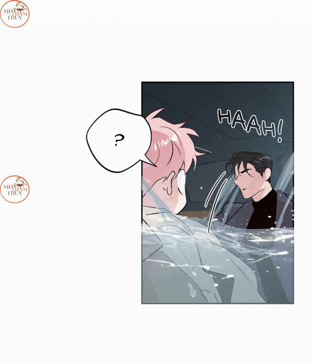 Cặp Đôi Điên Rồ 50 trang 46