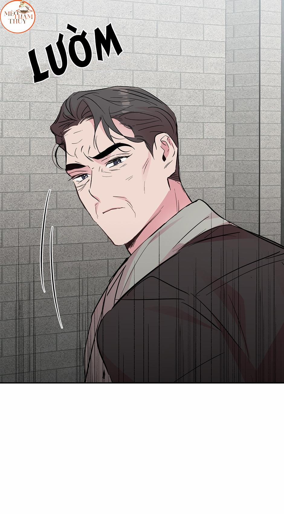 Cặp Đôi Điên Rồ 51 trang 10