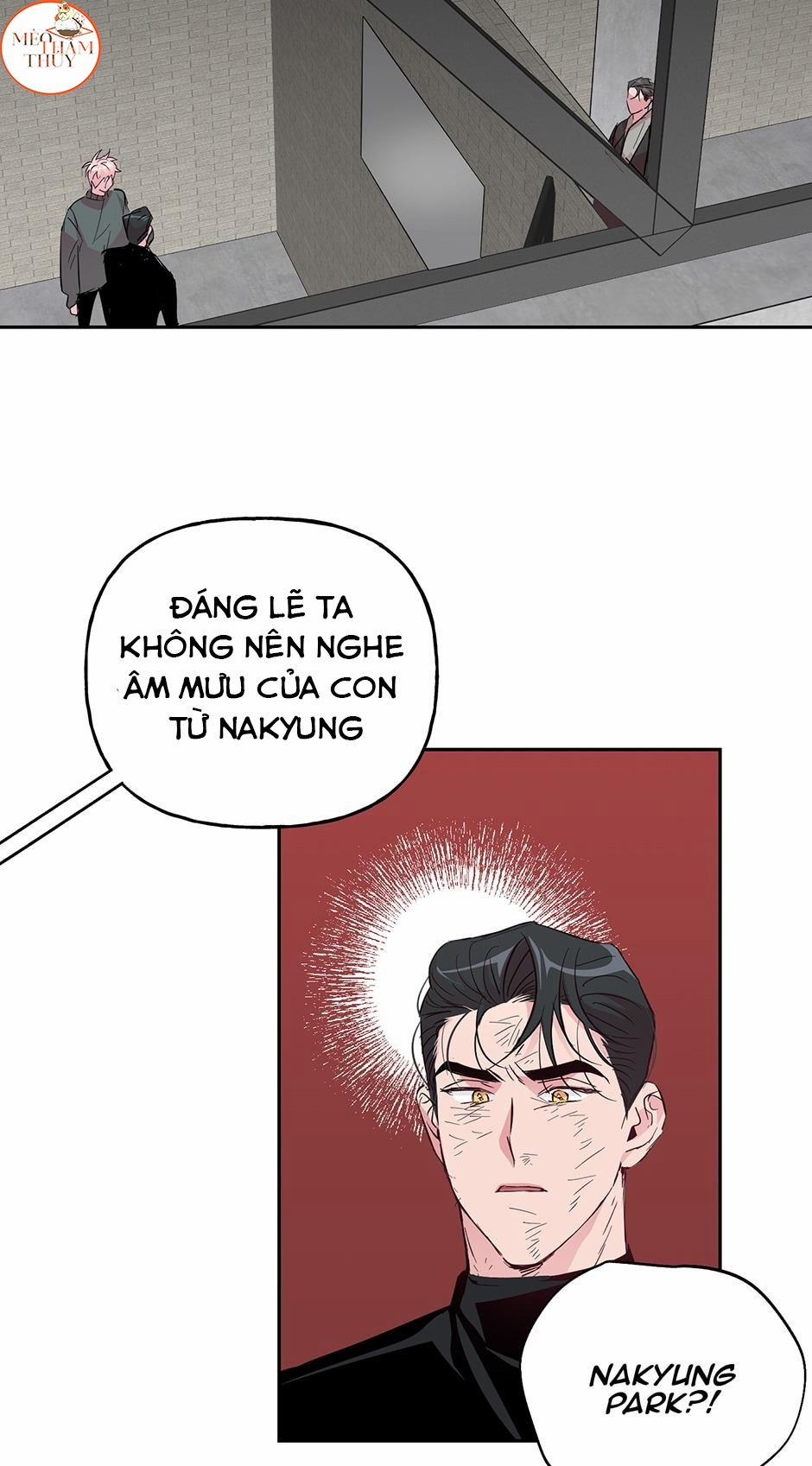 Cặp Đôi Điên Rồ 51 trang 12