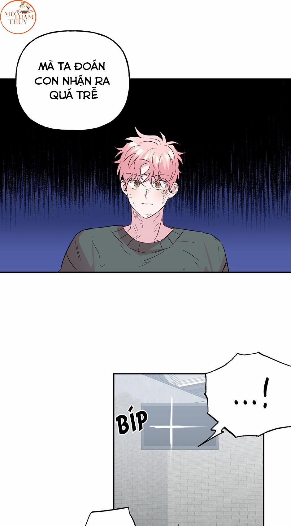 Cặp Đôi Điên Rồ 51 trang 14