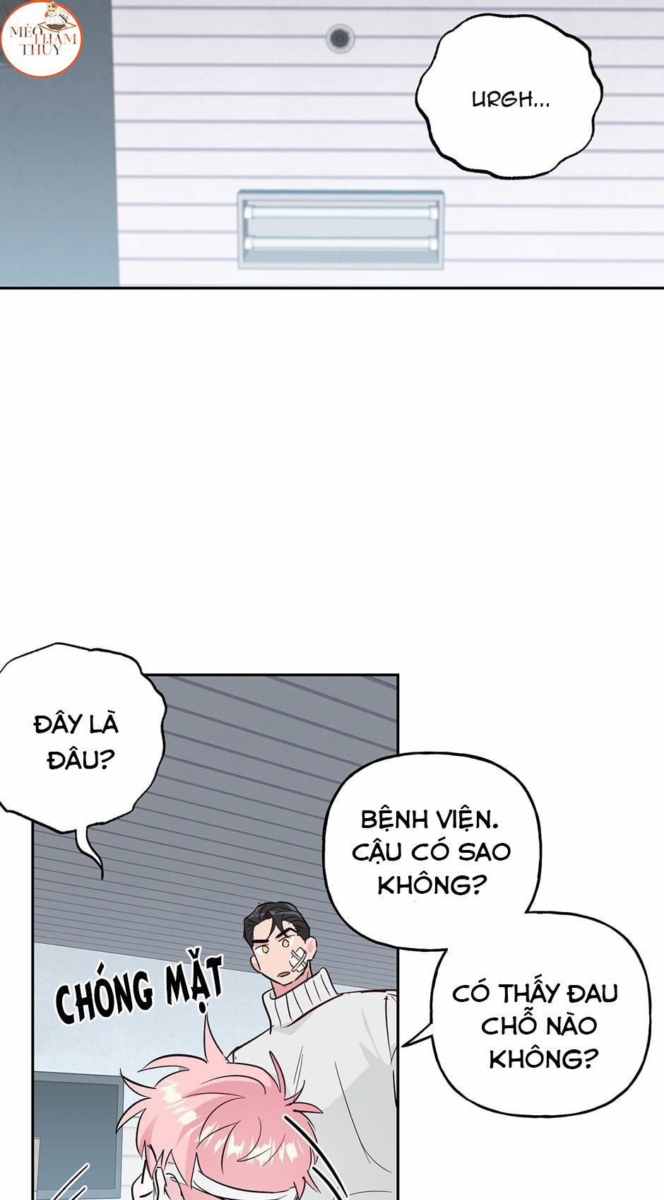 Cặp Đôi Điên Rồ 51 trang 2