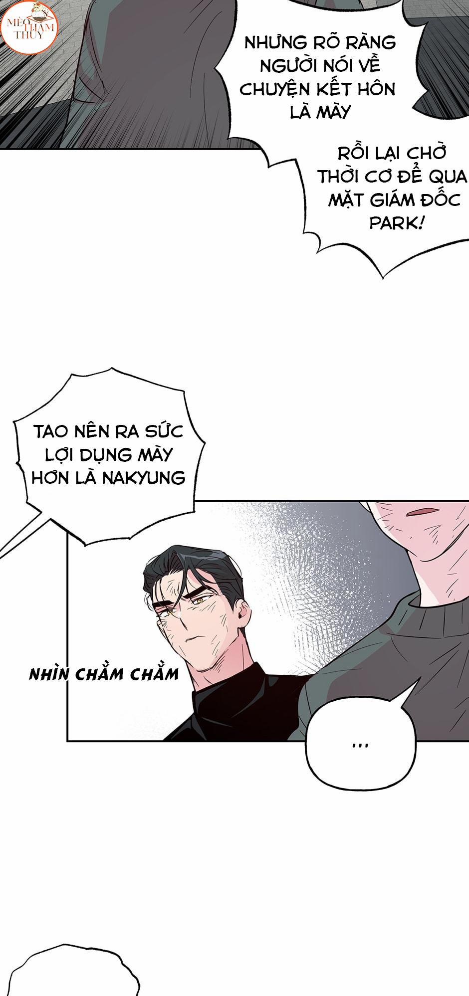 Cặp Đôi Điên Rồ 51 trang 22