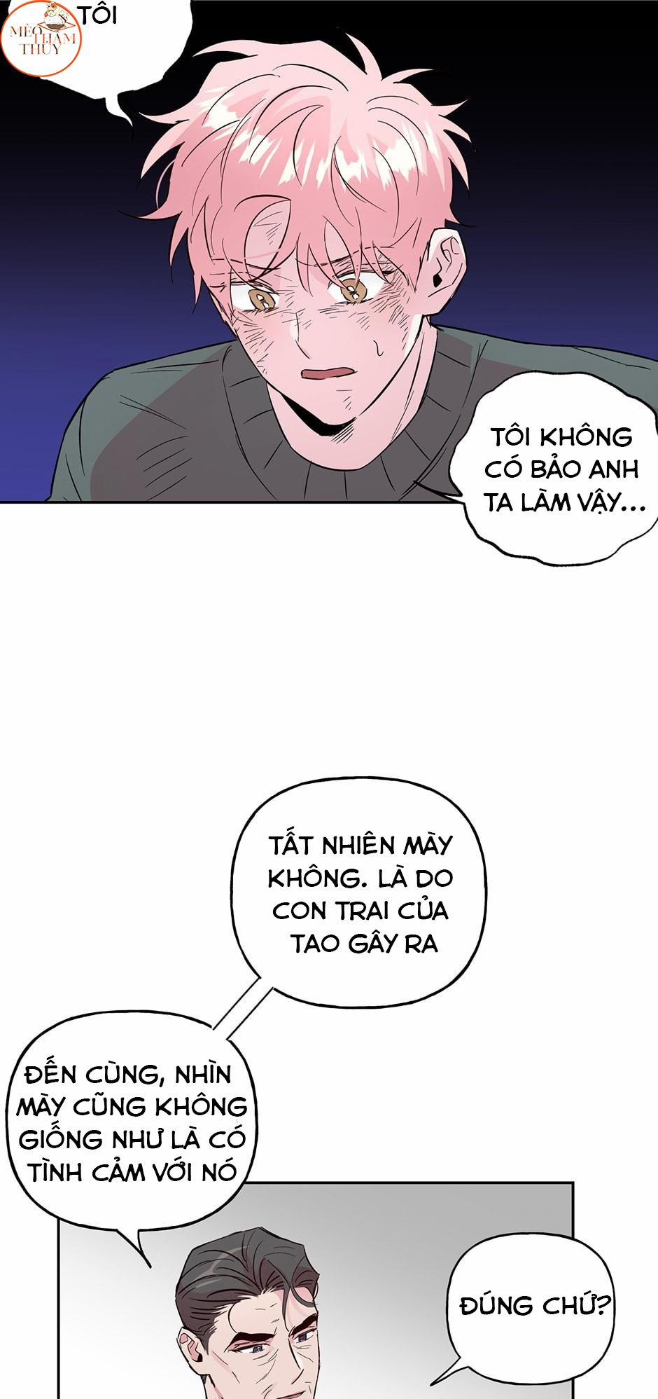 Cặp Đôi Điên Rồ 51 trang 23