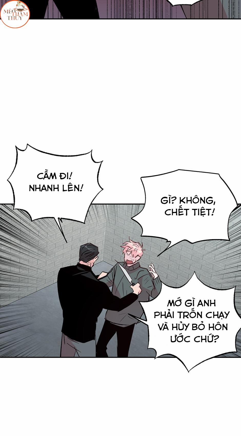 Cặp Đôi Điên Rồ 51 trang 29