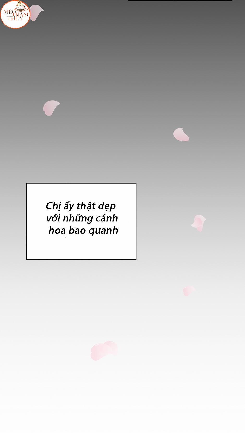 Cặp Đôi Điên Rồ 52 trang 19