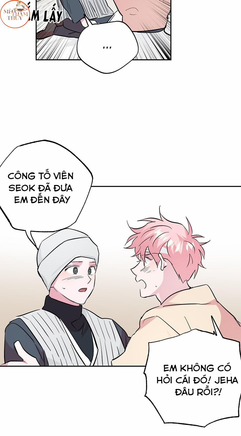 Cặp Đôi Điên Rồ 52 trang 23