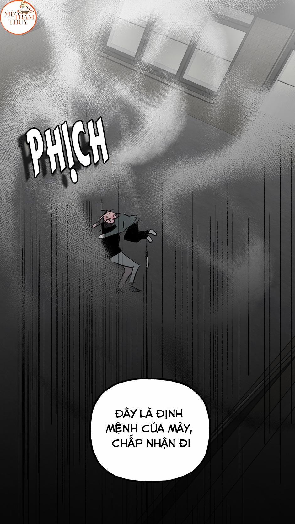 Cặp Đôi Điên Rồ 52 trang 3