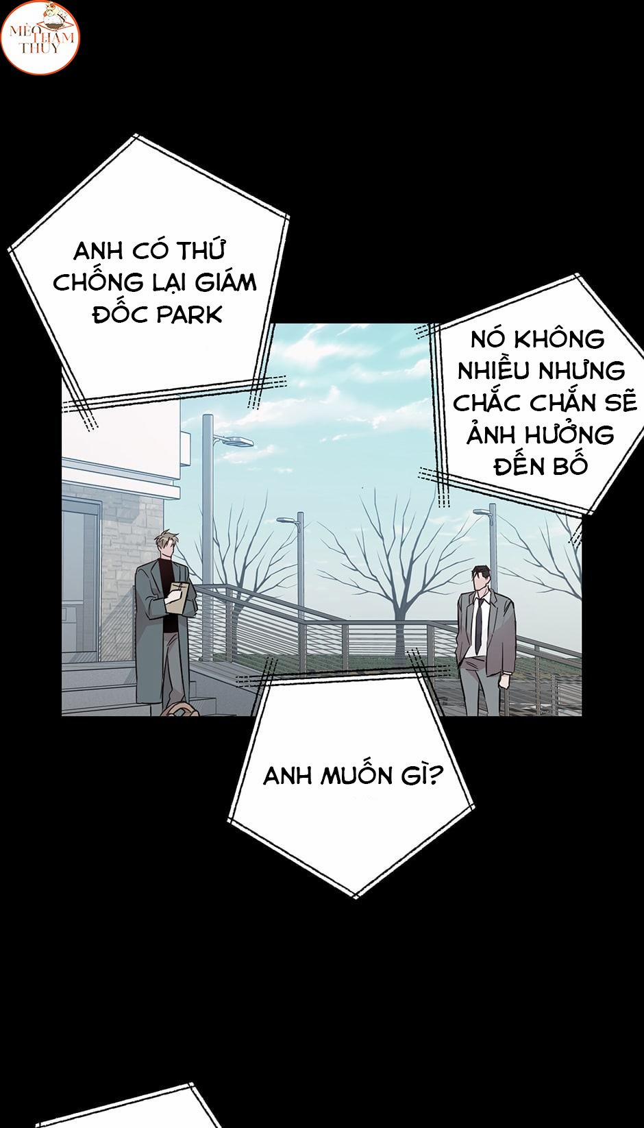 Cặp Đôi Điên Rồ 52 trang 45