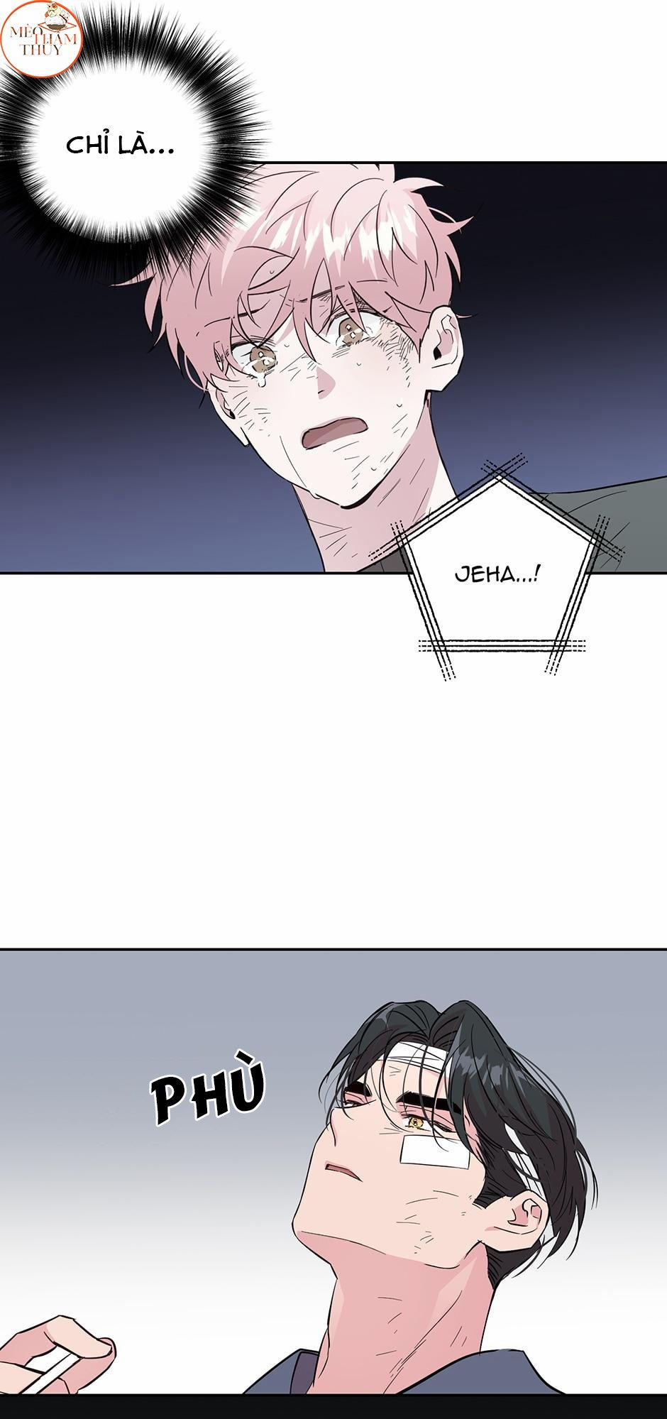 Cặp Đôi Điên Rồ 52 trang 50