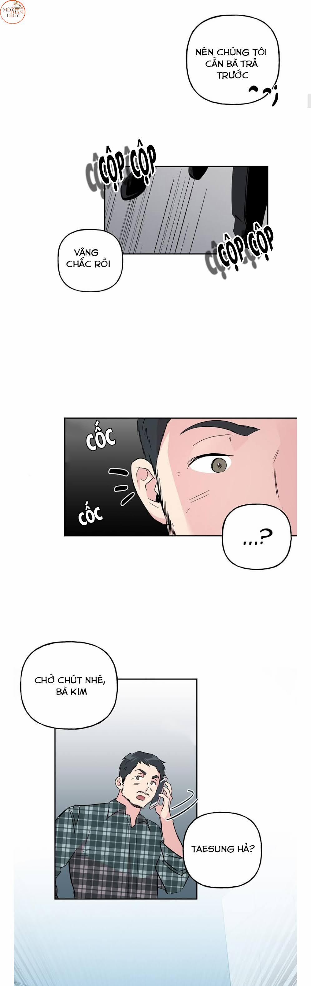 Cặp Đôi Điên Rồ 59 trang 14