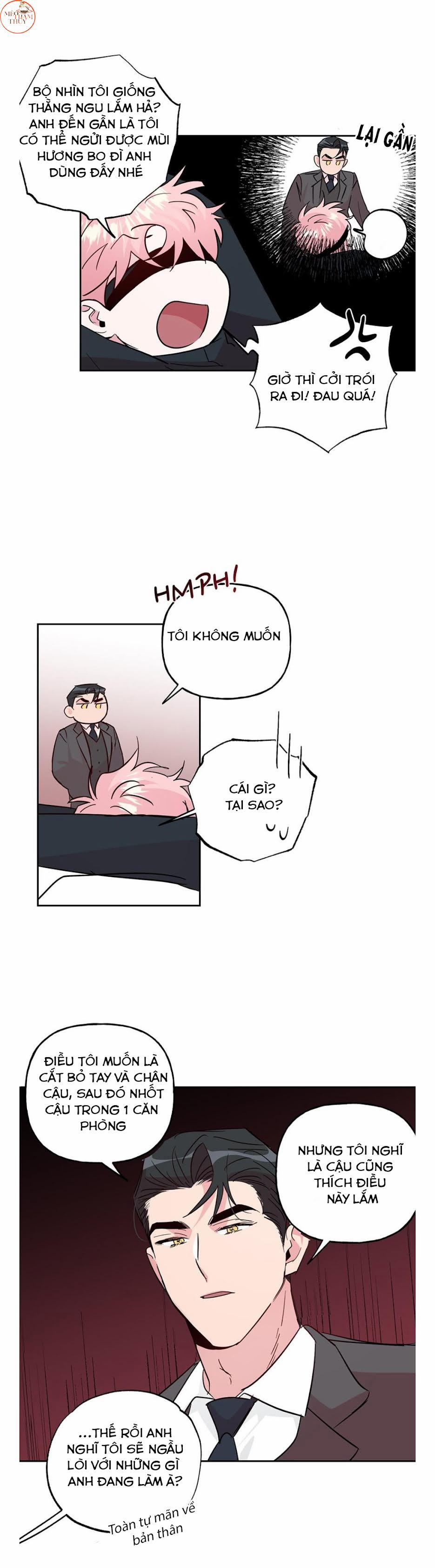 Cặp Đôi Điên Rồ 60 (Hết) trang 11