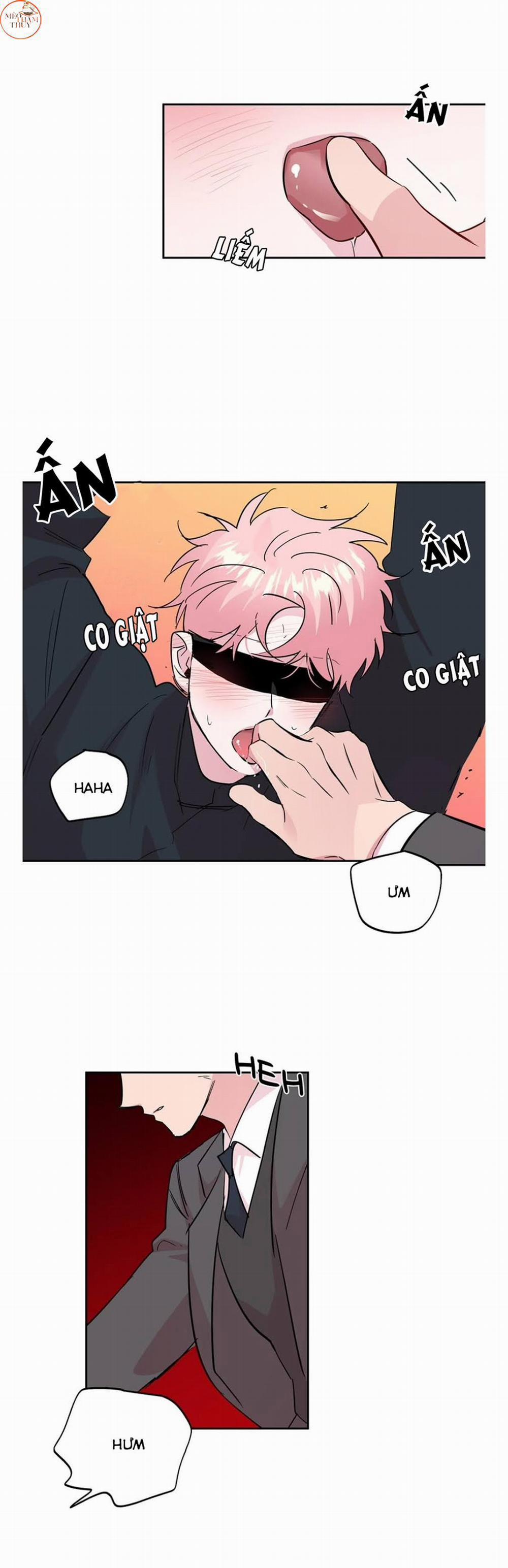 Cặp Đôi Điên Rồ 60 (Hết) trang 9