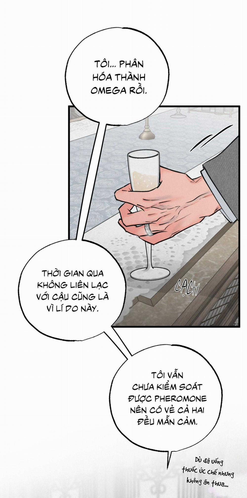 Cặp Đôi Hoàn Hảo 36 trang 17
