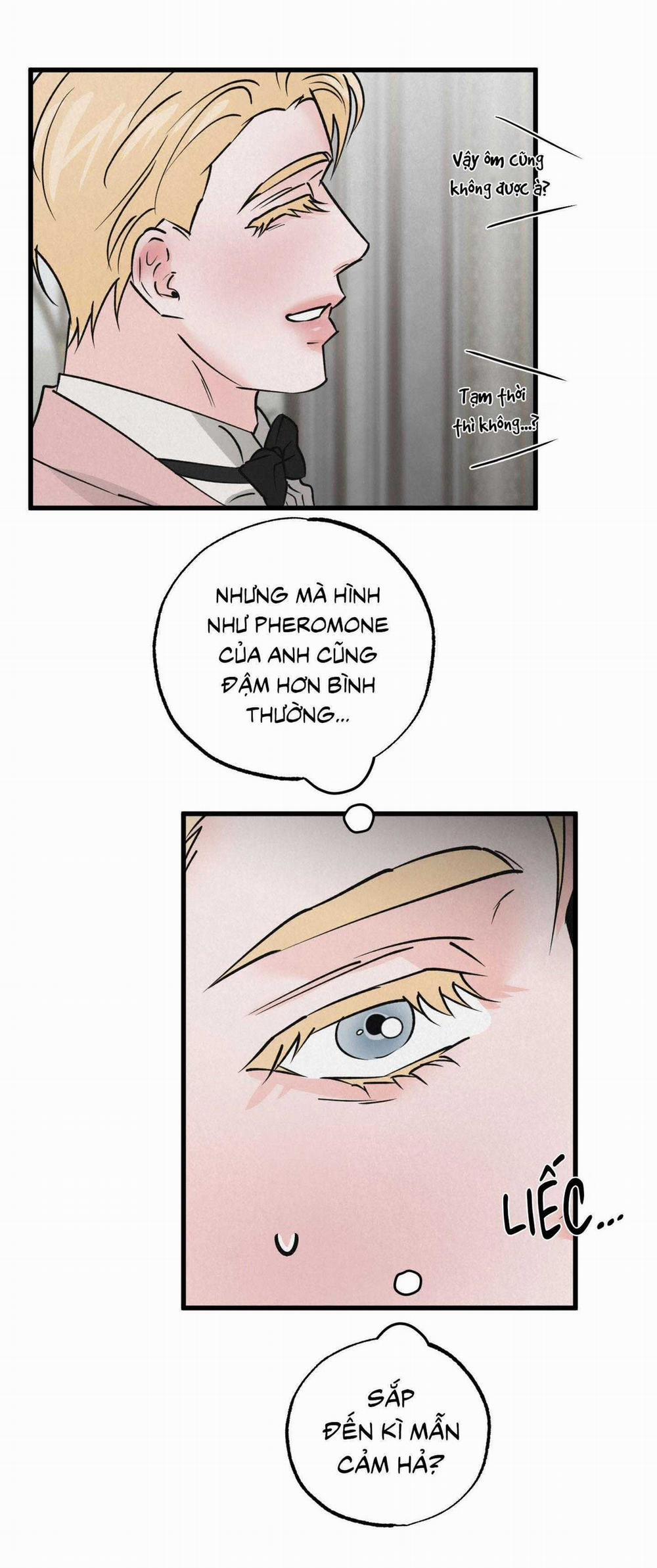 Cặp Đôi Hoàn Hảo 36 trang 21