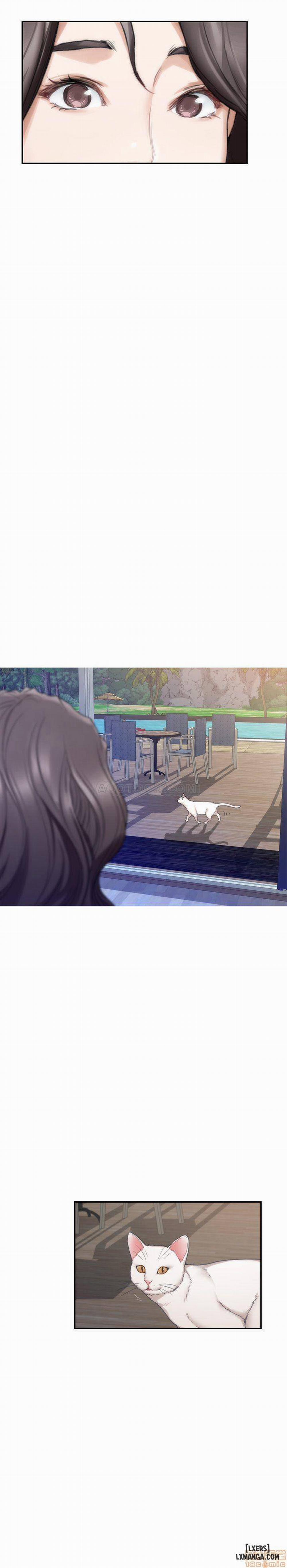 Cặp Đôi S 71 trang 23