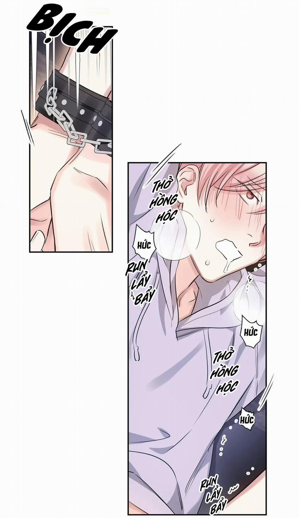 Cấp Trên Nhỏ Tuổi 8 trang 52