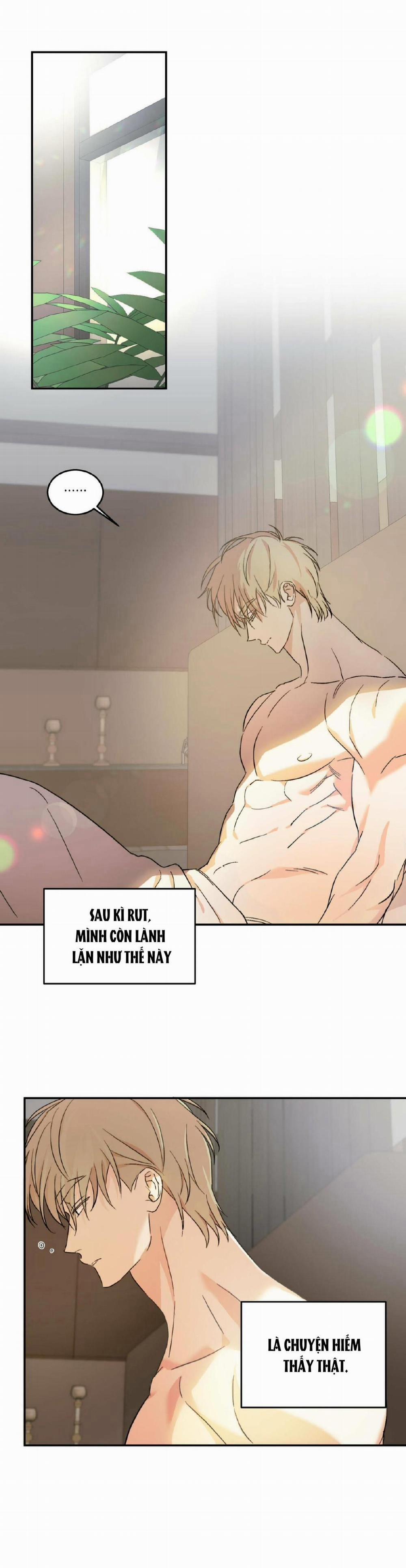 Cấp Trên 12 trang 1