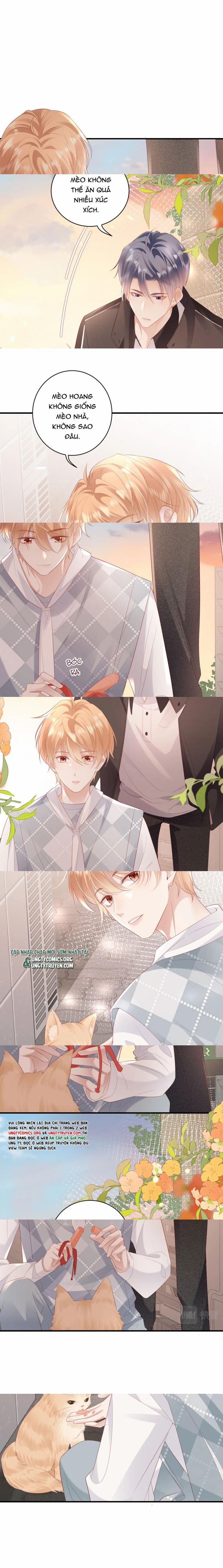 Cất Giấu 15 trang 4