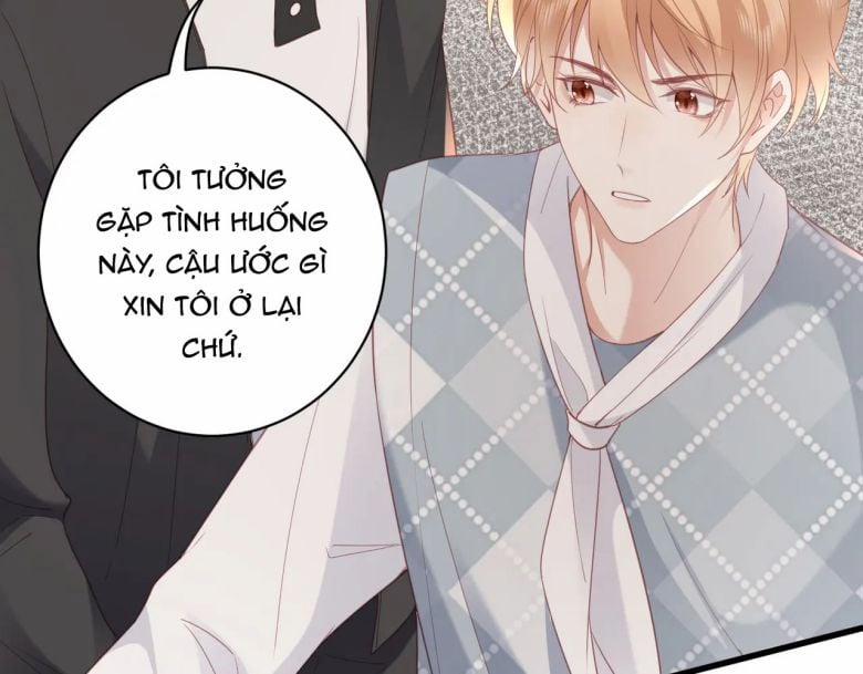 Cất Giấu 15 trang 49